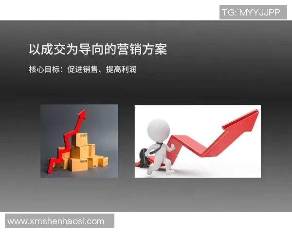 以赞助商为核心推动品牌合作共赢的战略模式分析与实施路径