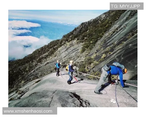 极限运动战术解析北京极限运动队的创新进攻体系与战术思考