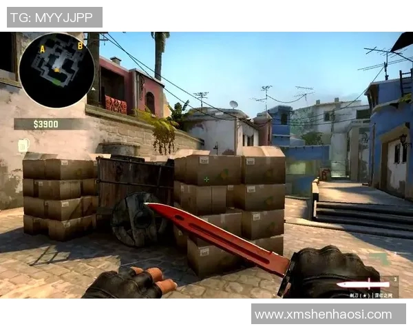 V5战队在CSGO比赛中的防守策略分析与成败得失探讨