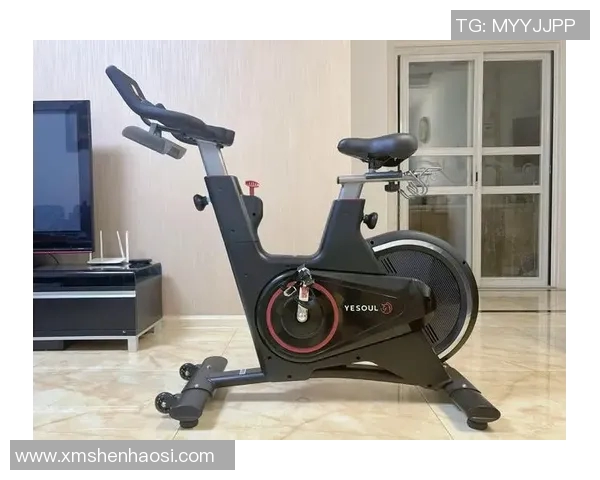 适合居家健身的器材推荐及使用心得