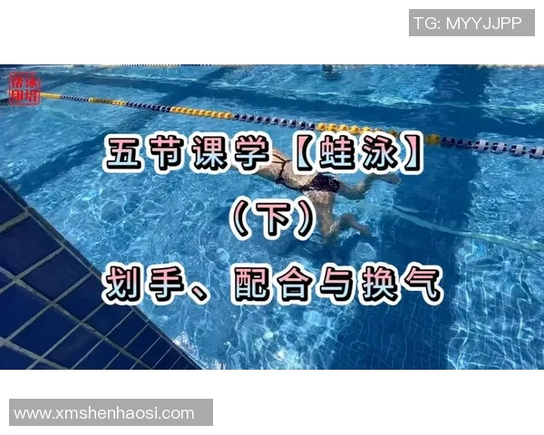 蛙泳呼吸技巧解析:如何掌握正确的呼吸节奏与技巧提高泳速